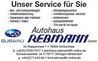 sponsor_rebmann